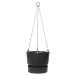 greenville hanging basket 24cm living black